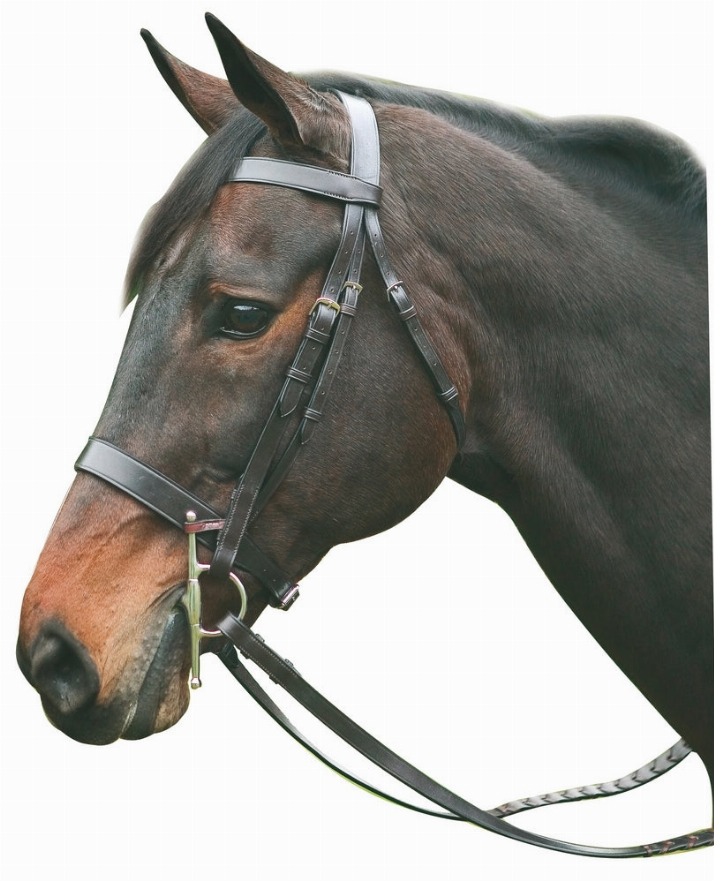 Bridles & Reins