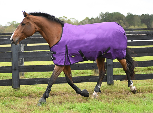 Gatsby Premium 1200D Heavyweight Waterproof Turnout Blanket - Purple 66 1 for horses Turnouts, Blankets, Horse C...