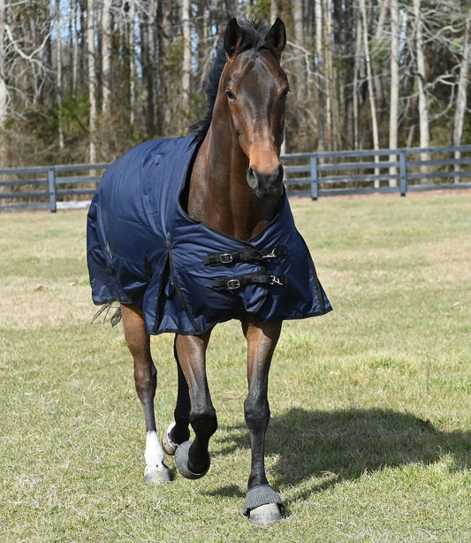 Gatsby 600D Waterproof Turnout HW Blanket - Blankets, Horse Clothing, Turnouts Navy