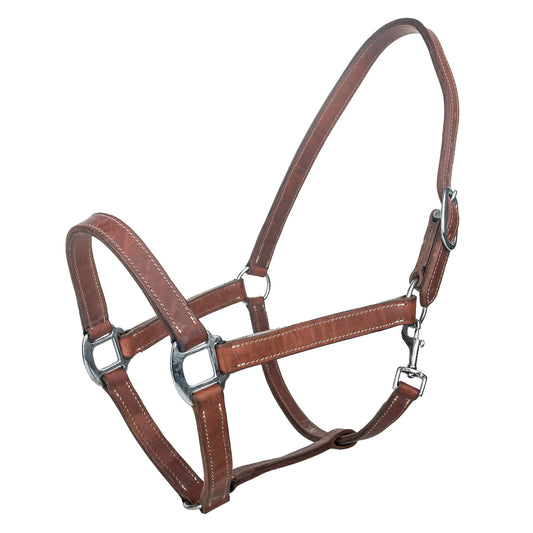 Tabelo Leather Halter w/ Snap - Halters, Western Tack Harness HORSE High quality, durable, perfect for equestrian needs