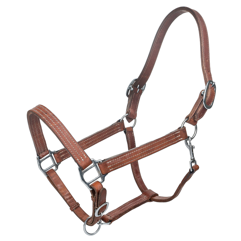 Tabelo Leather Halter w/ Adjustable Chin & Snap - Harness HORSE 1 for horses Western Tack, Halters, Halters