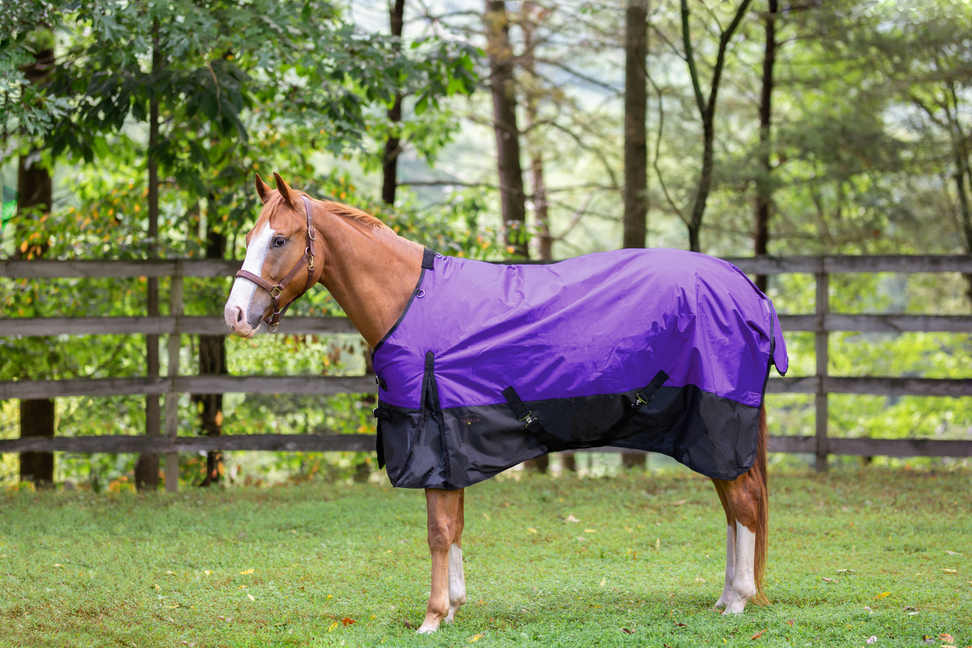 Tabelo Waterproof 1200D Turnout Blanket - Blue 69 1 for horses Turnouts, Blankets, Horse Clothing