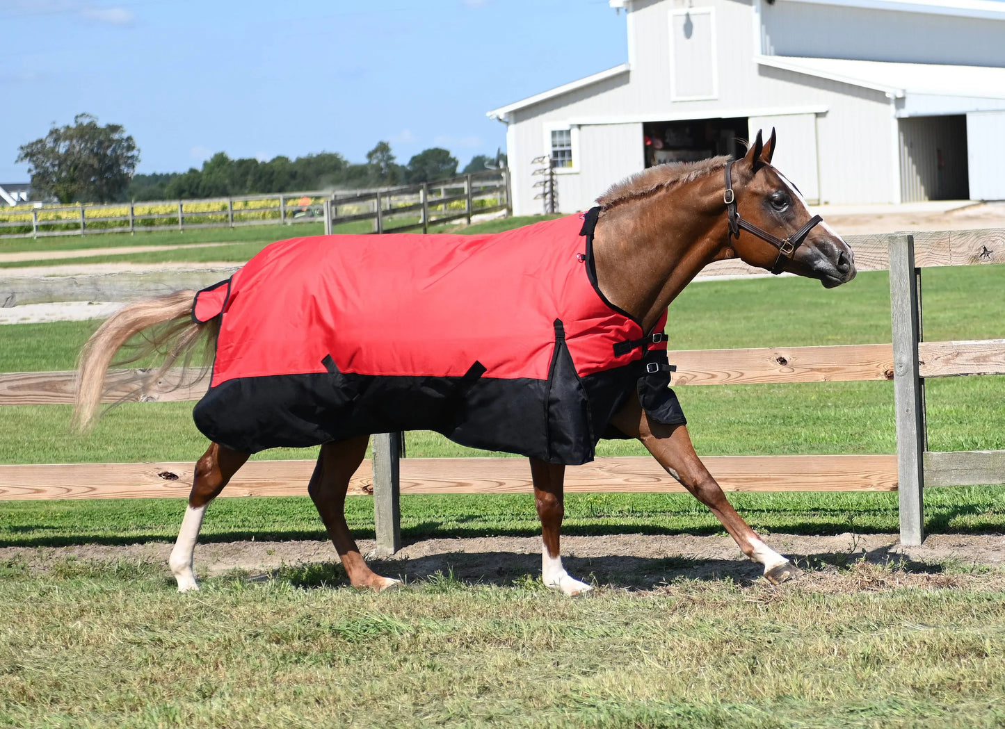 Tabelo Waterproof 1200D Turnout Blanket