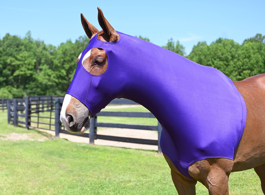 Tabelo StretchX Mane Stay Hood - Purple SMALL (500-800LBS) for horses Cooler Sheets, Coolers, Sheets & Slickers, H...