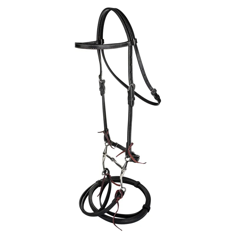 TABELO Browband Bridle w/ Bit