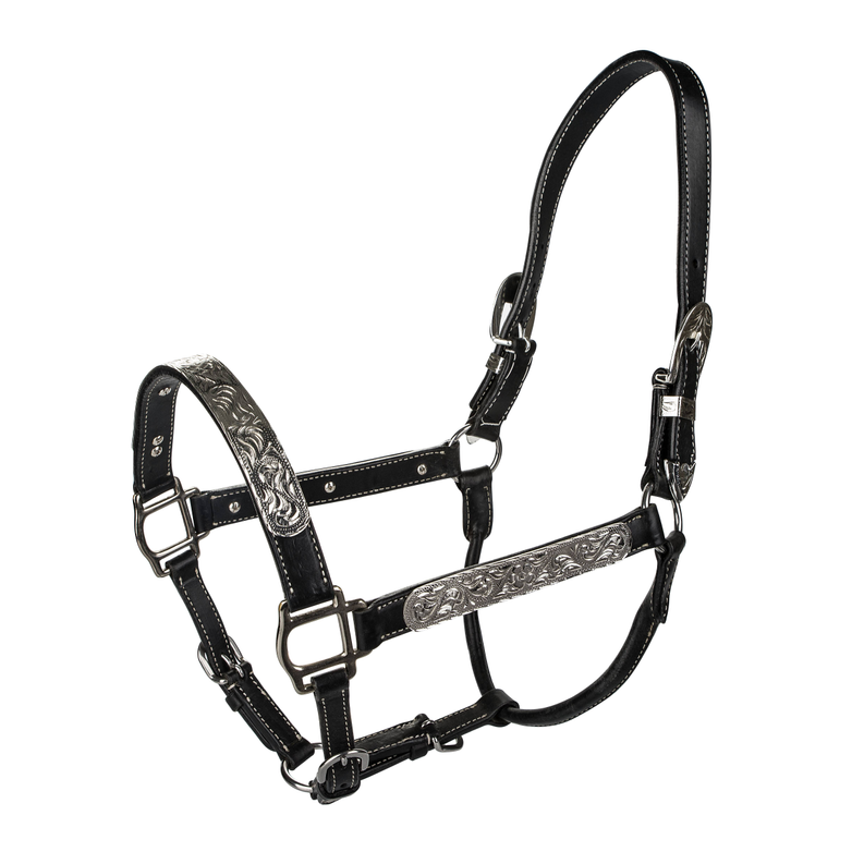 TABELO Leather Halter with Silver - Black HORSE 1 for horses Western Tack, Halters, Halters