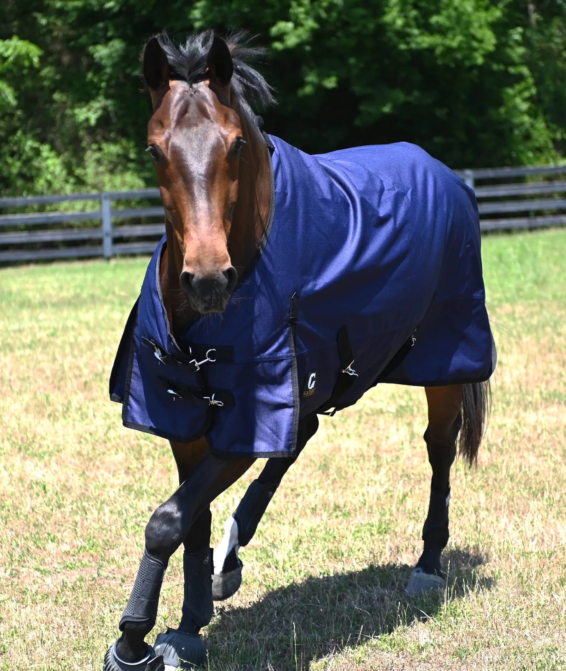 Gatsby 1200D Waterproof Turnout Sheet - Deep blue 69 1 for horses Turnouts, Horse Clothing, Sheets