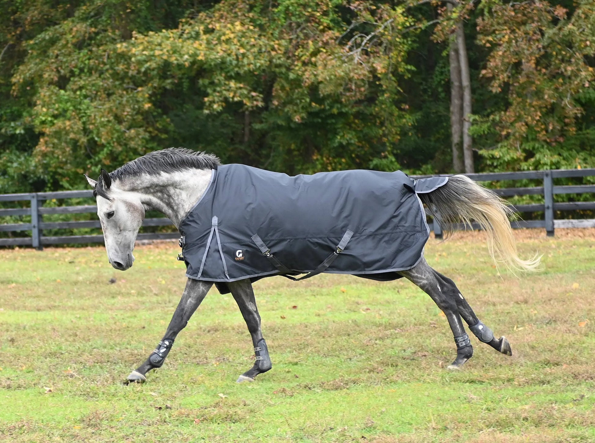 Gatsby 600D Waterproof Turnout Sheet - Navy with grey trim 84 1 for horses Turnouts, Horse Clothing, Sheets