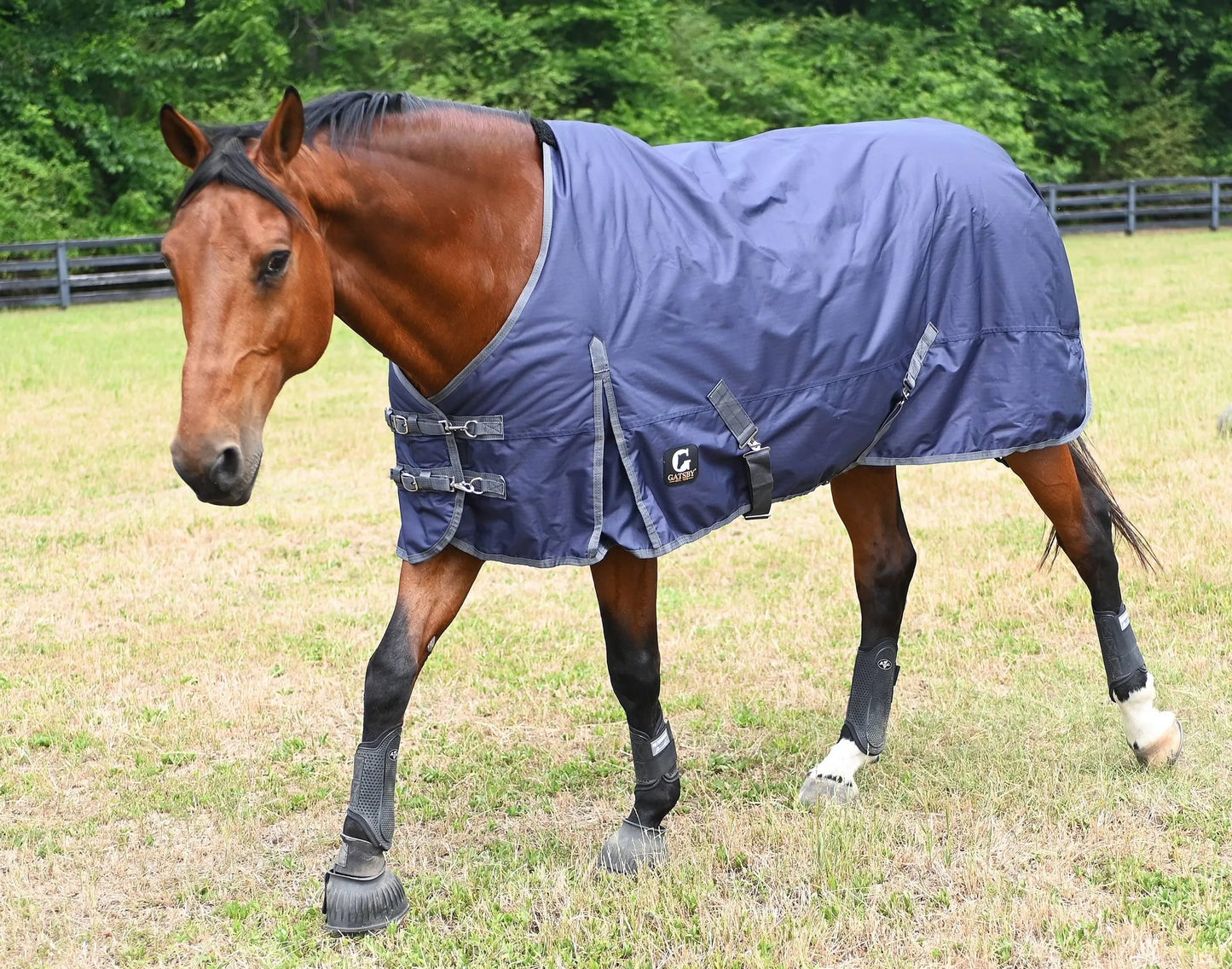 Gatsby 600D Mediumweight 200gm Waterproof Turnout Blanket