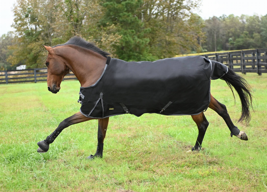 Gatsby Premium 1680D Waterproof Turnout Sheet - Black 84" 1 for horses Turnouts, Blankets, Horse Clothing