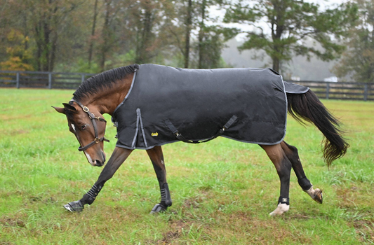 Gatsby Premium 1680D Heavyweight Waterproof Turnout Blanket - Black 84" 1 for horses Turnouts, Blankets, Horse C...