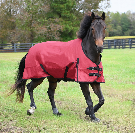 Gatsby Premium 1200D Waterproof Turnout Sheet - Merlot 84" 1 for horses Turnouts, Blankets, Horse Clothing