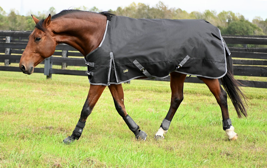 Gatsby Premium 1200D Heavyweight Waterproof Turnout Blanket - Black 84" 1 for horses Turnouts, Blankets, Horse C...