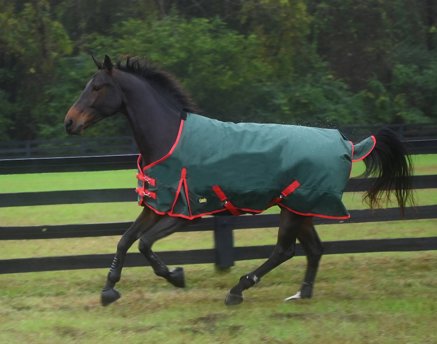 Gatsby Premium 1200D Heavyweight Waterproof Turnout Blanket - Dark green 84" 1 for horses Turnouts, Blankets, Ho...