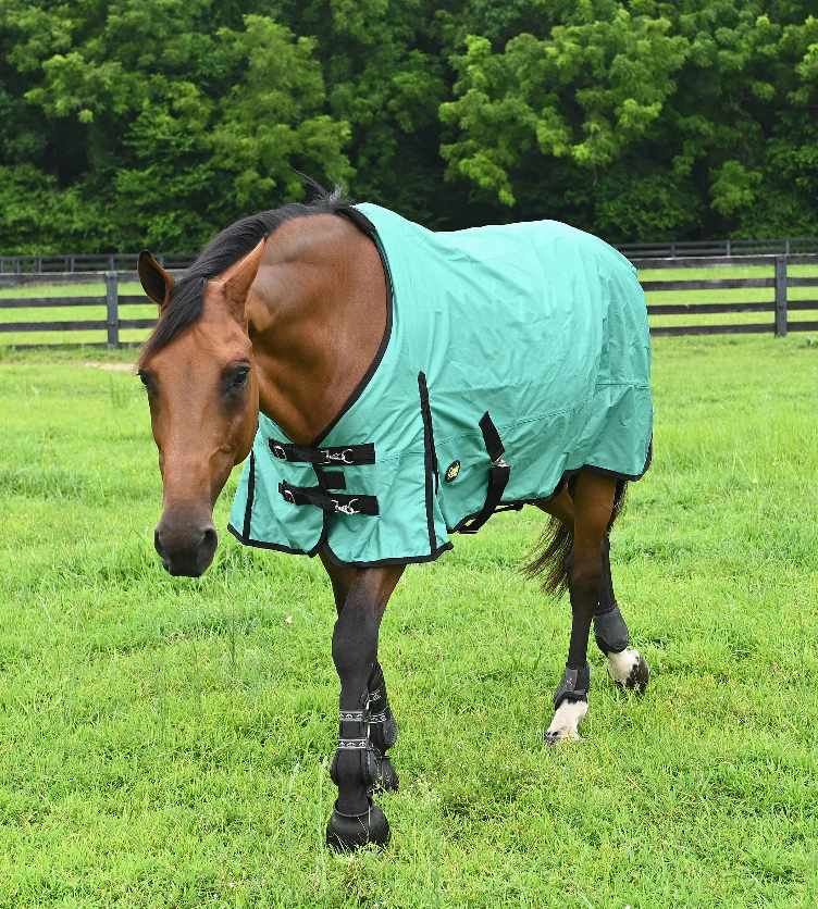 Gatsby 600D Waterproof Ripstop Turnout Sheet - Green 84" 1 for horses Turnouts, Horse Clothing, Sheets