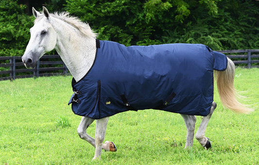 Gatsby 600D Waterproof Ripstop Turnout HW Blanket - Blue 84" 1 for horses Turnouts, Blankets, Horse Clothing