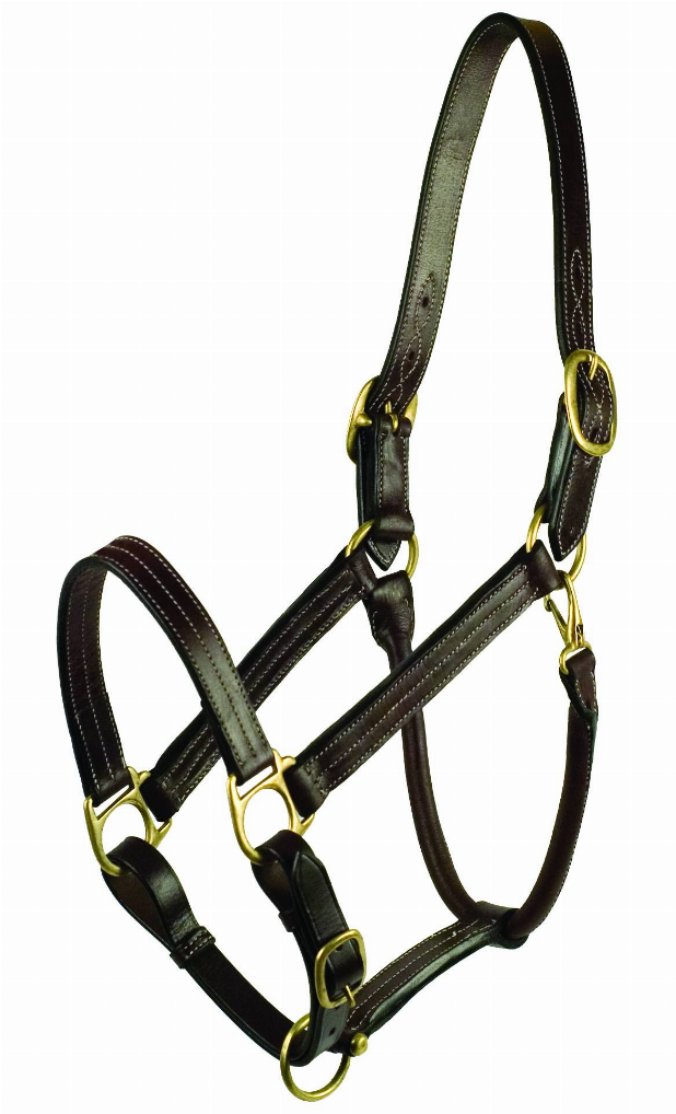 Gatsby Premium Adjustable Triple Stitched Halter - Havana HORSE 1 for horses Halters & Leads, English Tack,