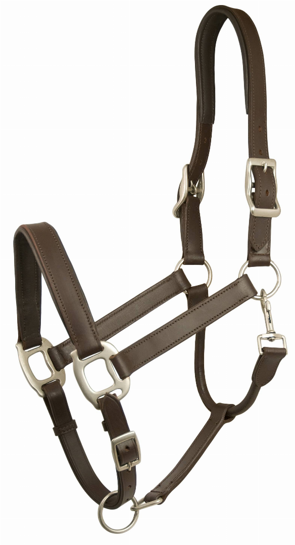 Gatsby Adjustable Padded Leather Halter - Brown COB 1 for horses Halters & Leads, English Tack,