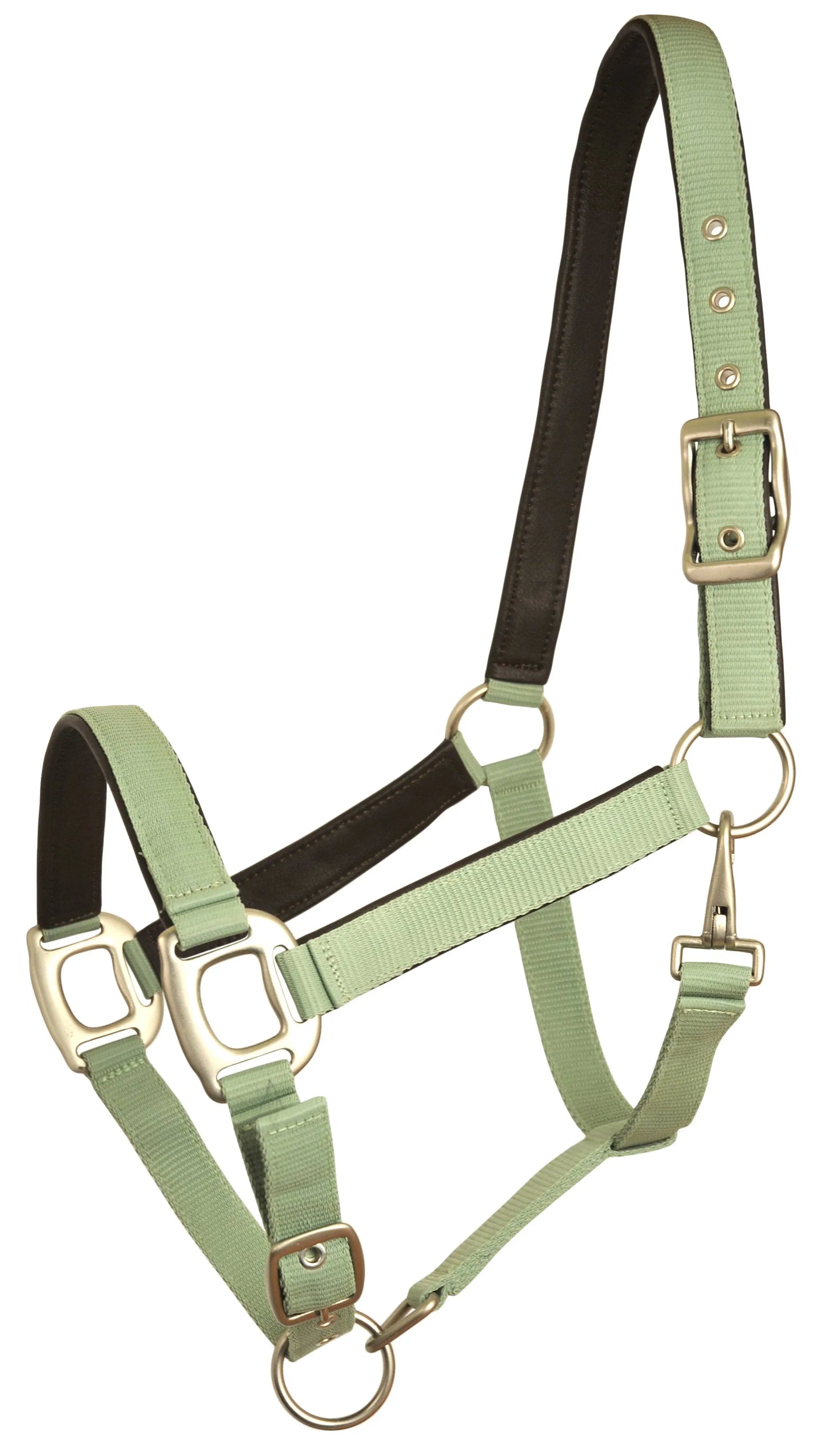 Gatsby Leather Padded Adjustable Nylon Halter