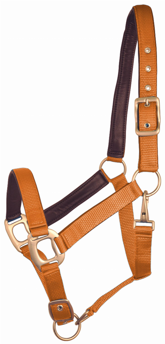 Gatsby Leather Padded Adjustable Nylon Halter - Pumpkin/brown OVERSIZE 1 for horses English Tack, Halters & Lead...