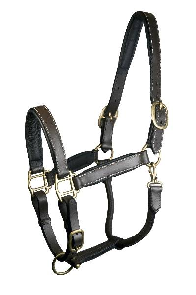 Gatsby Padded Leather Halter Fully Adjustable - Brown HORSE 1 for horses Western Tack, Halters, Halters