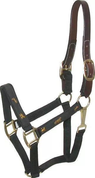 Gatsby Nylon Breakaway Halter with Horse Overlay & Snap