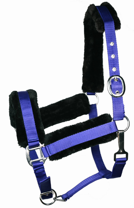 Gatsby Nylon Halter with Removable Fleece - Black COB 1 for horses English Tack, Halters & Leads,