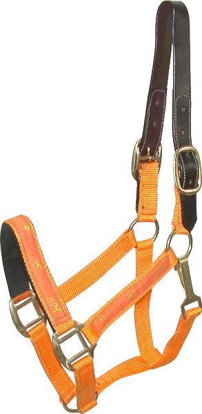 Gatsby Nylon Breakaway Halter with Horse Overlay & Snap - Orange OVERSIZE 1 for horses English Tack, Halters L...