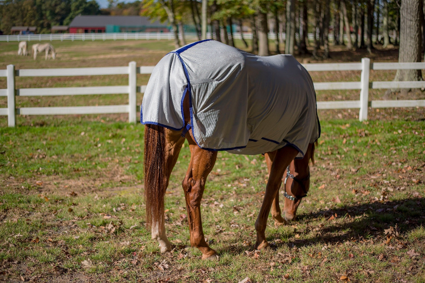 TuffRider Comfy Plus Standard Neck Fly Sheet - Quarry w/ ultramarine trim 87 1 for horses Protection, Sh...