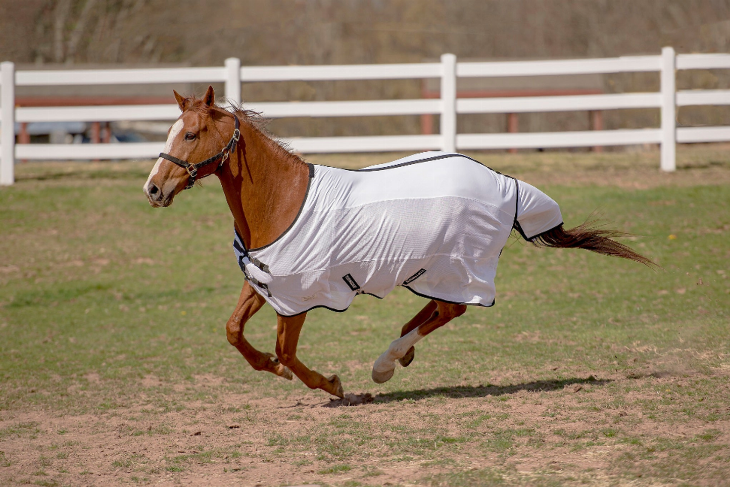 TuffRider Sport CoolMax/Mesh Blend Standard Neck Fly Sheet - White 84 1 for horses Protection, Sheets, H...