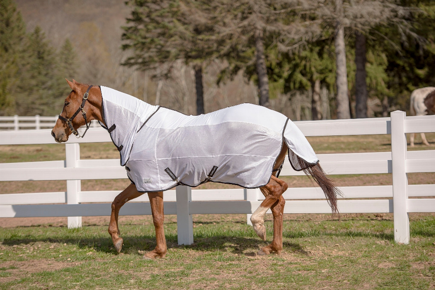 TuffRider Sport CoolMax/Mesh Blend Combo Neck Fly Sheet - White 69 1 for horses Protection, Sheets, Hors...