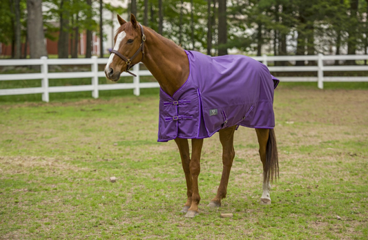 TuffRider 1600 D Super Comfy Standard Neck Blanket - Purple 87 1 for horses Turnouts, Blankets, Horse Clothing