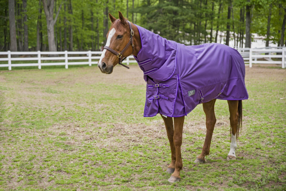 TuffRider 1680 D Super Comfy Detachable Neck Blanket - Purple 87 1 for horses Turnouts, Blankets, Horse Clothing