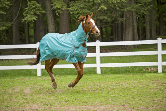 TuffRider 1200D Winter Comfy Detachable Neck Sheet - Navy 84 1 for horses Turnouts, Horse Clothing, Sheets