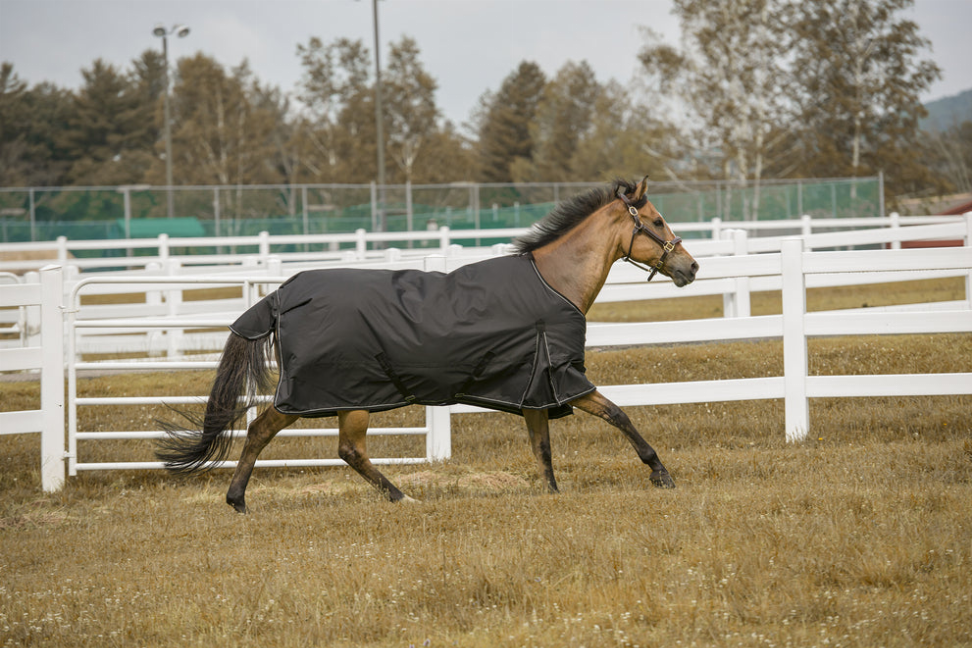 TuffRider 1200 D Comfy Winter Blanket - Black 87 1 for horses Turnouts, Blankets, Horse Clothing