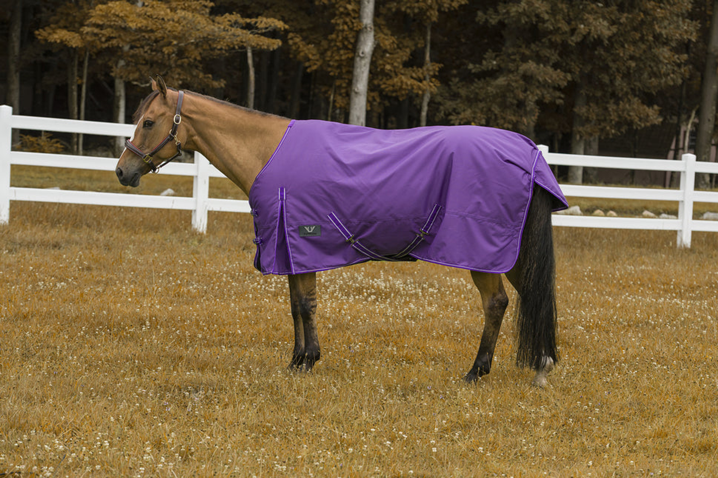 TuffRider 1200 D Comfy Winter Blanket