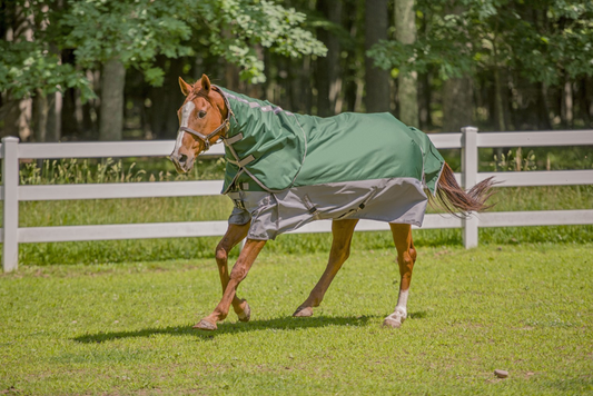 TuffRider Bonum 1200D Medium Weight Detachable Neck Two Tone Turnout Blanket With 200gms of fill - hunter green/grey 6...