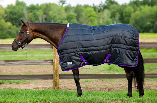 TuffRider Kozy Komfort Stable Blanket - black 87 1 for horses Turnouts, Blankets, Horse Clothing