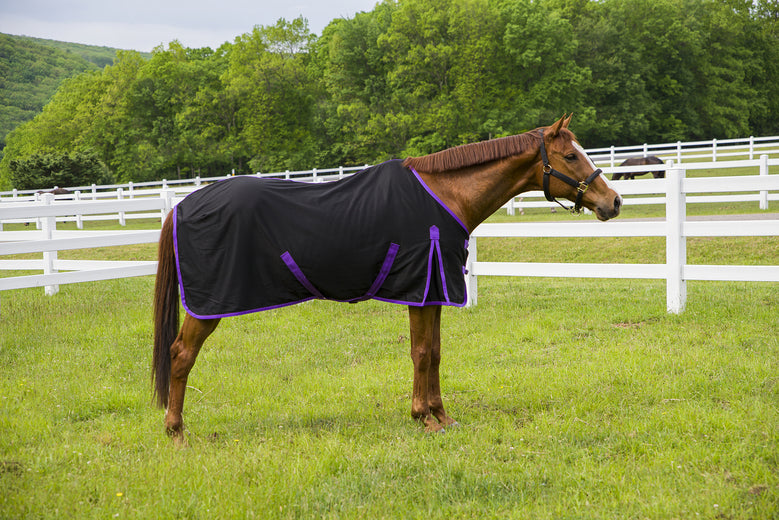 Tuffrider Kozy Komfort Stable Sheet - Horse Clothing, Sheets, Turnouts Black