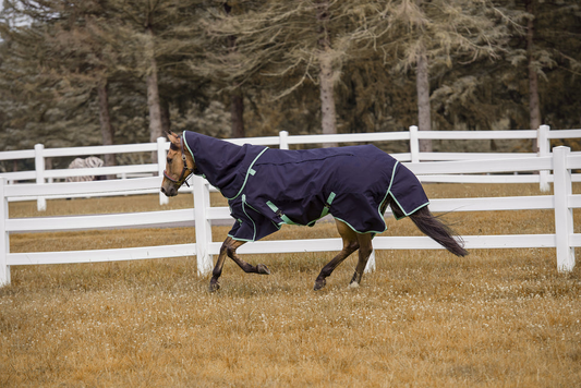 TuffRider 4-in-1 Waterproof All Season Blanket - Navy 87 1 for horses Turnouts, Blankets, Horse Clothing