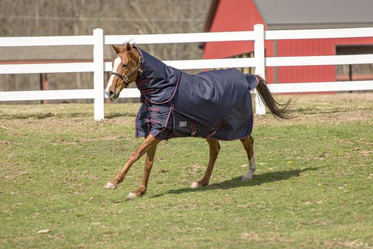 Tuffrider Comfy Heavy Weight Detachable Neck Winter Blanket with 350 gms of Fill - Navy 87 1 for horses Blankets...