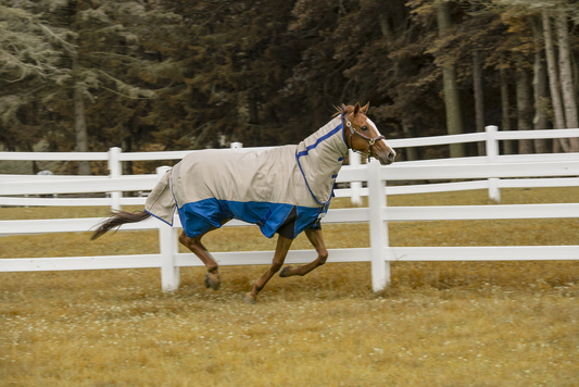 Tuffrider Bonum 1200D Ripstop Medium Weight Turnout Blanket With Combo Neck- 220 gms - Ash/classic blue 84 1 for h...