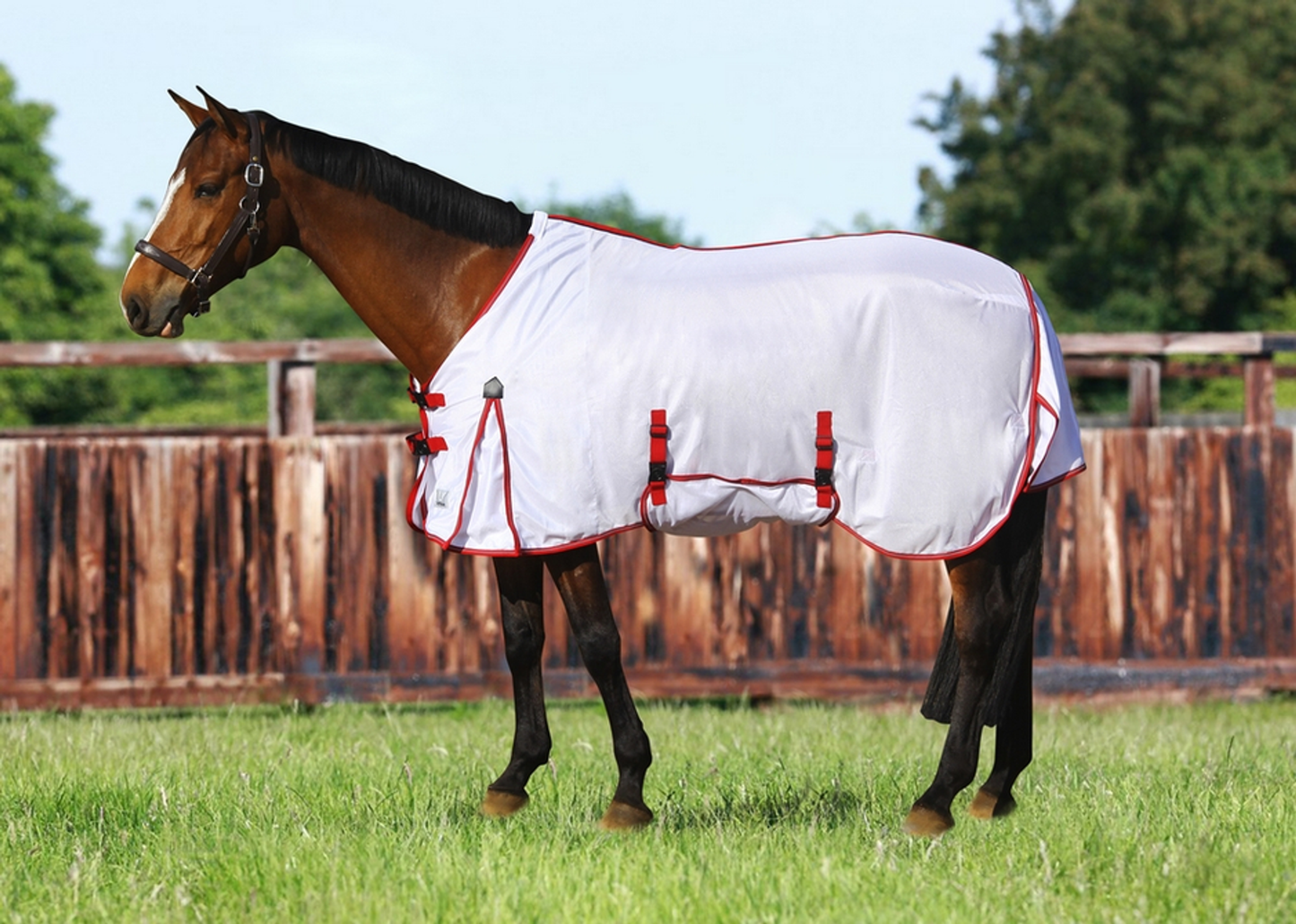 TuffRider Power Mesh Fly Sheet