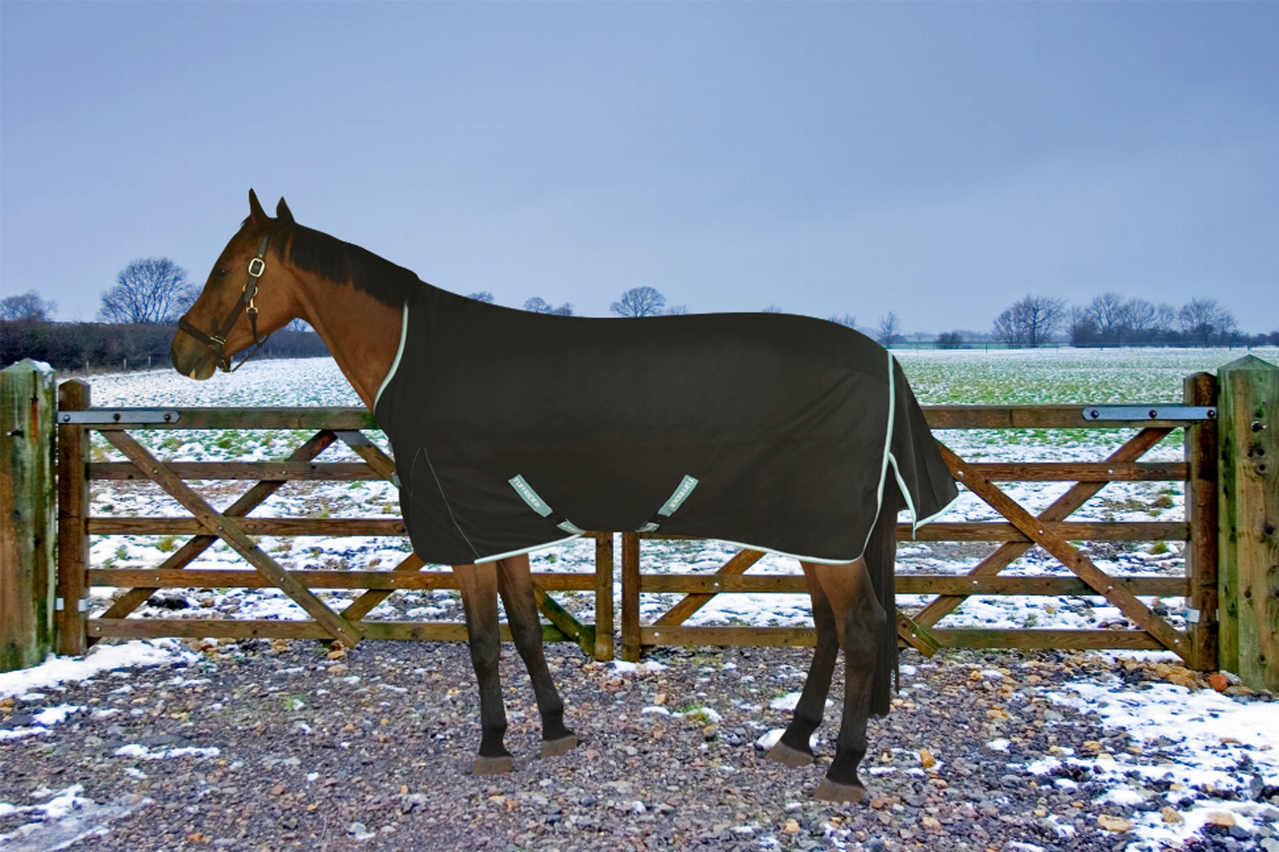 TuffRider Bonum 1200D Ripstop 220gms Medium Weight Turnout Blanket with High Neck