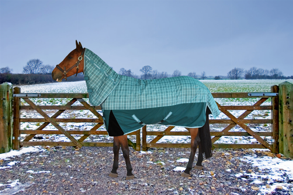 TuffRider Bonum 1200D Ripstop 220gms Medium Weight Turnout Blanket with Combo Neck - Deep teal/teal plaid 87 1 for...