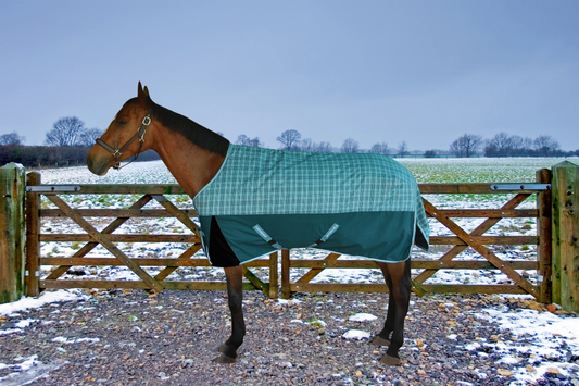 TuffRider Bonum 1200D Ripstop 220gms Medium Weight Turnout Blanket with Standard Neck - Deep teal/teal plaid 87 1 ...