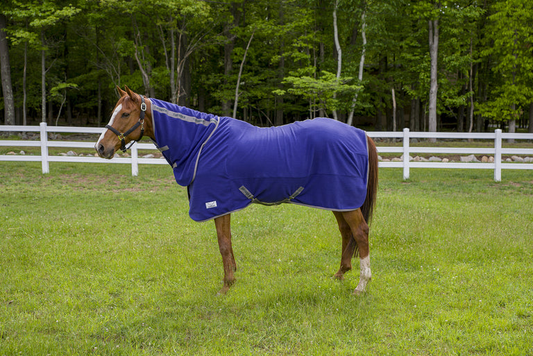 Tuffrider Cooler Sheet Combo - Deep wisteria 87 1 for horses Sheets, Coolers, Sheets & Slickers, Horse Cl...