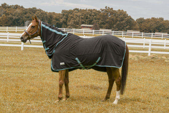 Tuffrider Fleece Cooler Sheet Combo - Sheets, Coolers, Horse Clothing, Sheets & Slickers black