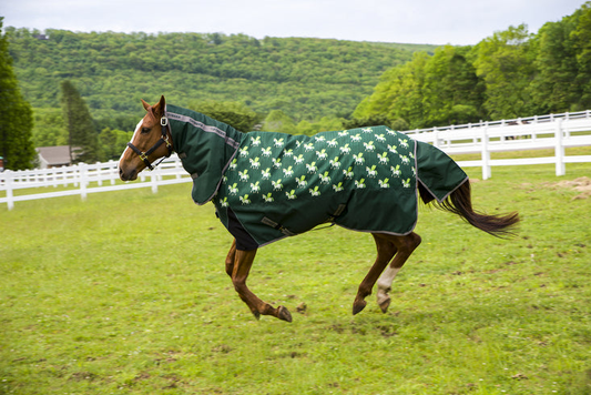 Tuffrider 1200D Ripstop 220 Gms Polyfill Horse Print Combo Neck Two Tone Turnout Blanket - Hunter 81 1 for h...