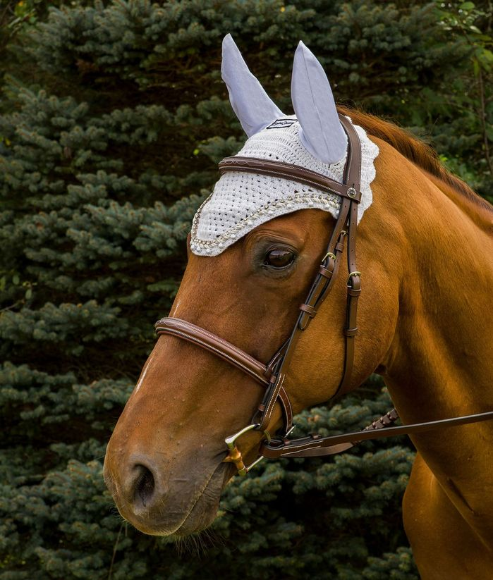 Equine Couture Fly Bonnet with Pearls and Crystals - white COB 1 for horses Bonnets, Protection, Horse C...